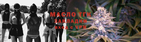 гашик Вязьма