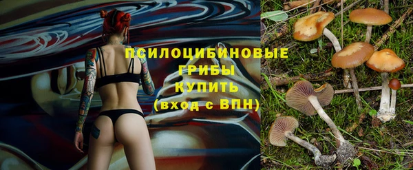 амф Вязники