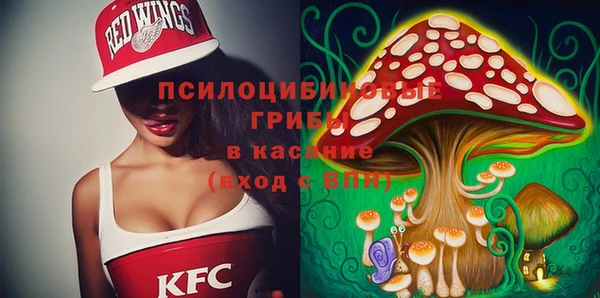 гашик Вязьма