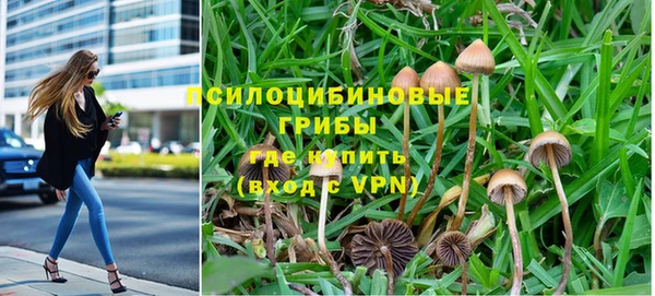 гашик Вязьма